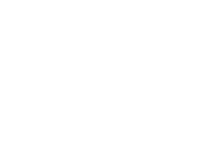 Icon Prostate