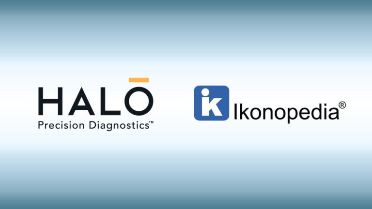 HALO precision diagnostics and ikonopedia logos side by side