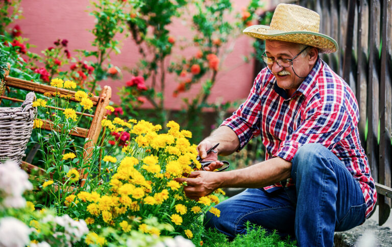 An older gentleman working in his garden