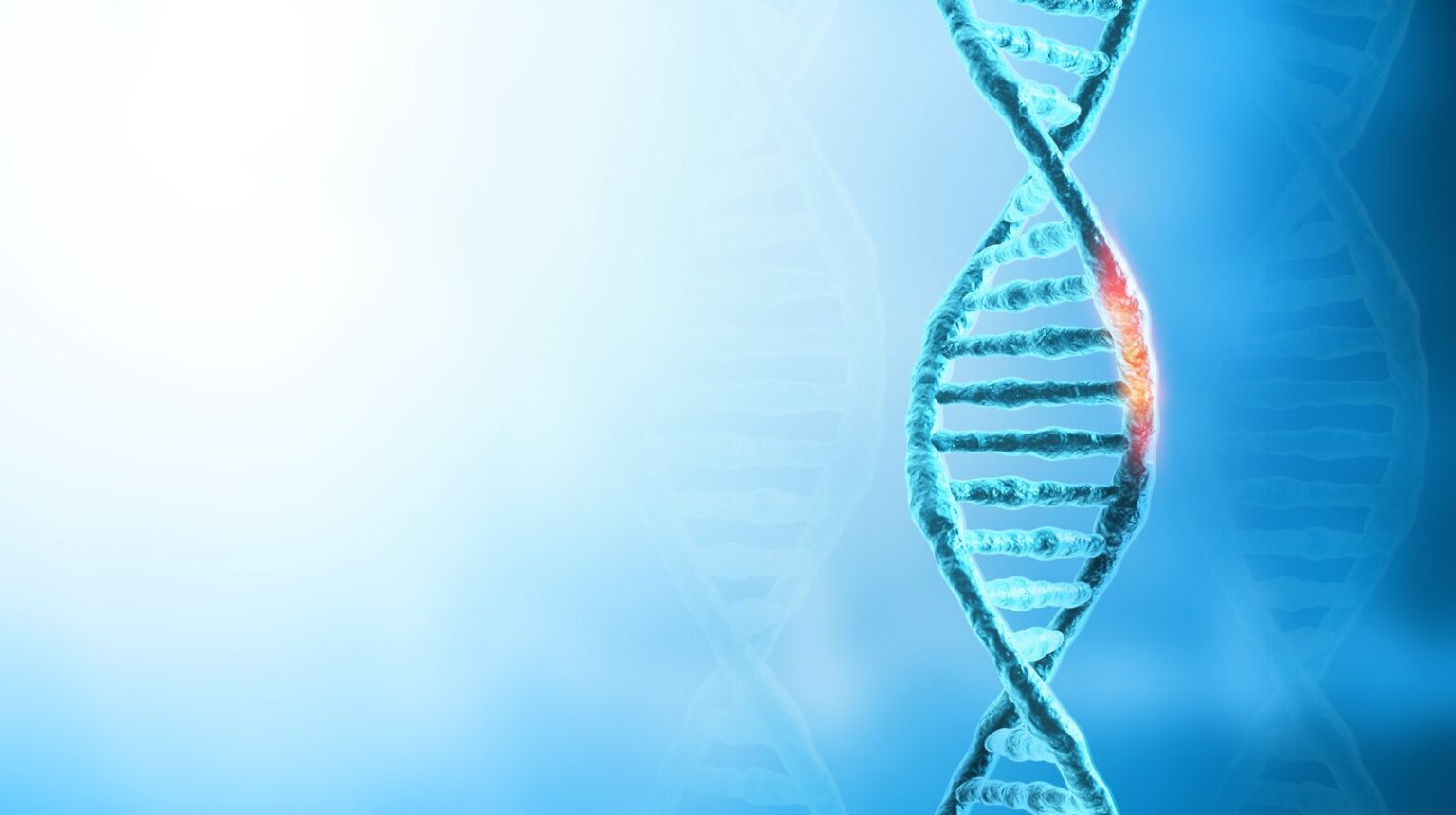 A DNA strand with a genetic mutation